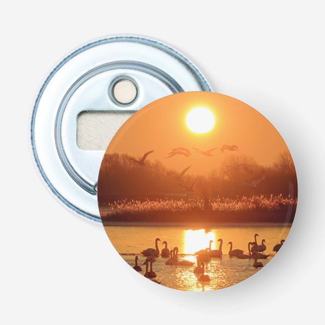 Schwäne am See bei Sonnenuntergang Flaschenöffner (Vorderseite)