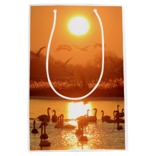Schwäne am See bei Sonnenuntergang Mittlere Geschenktüte