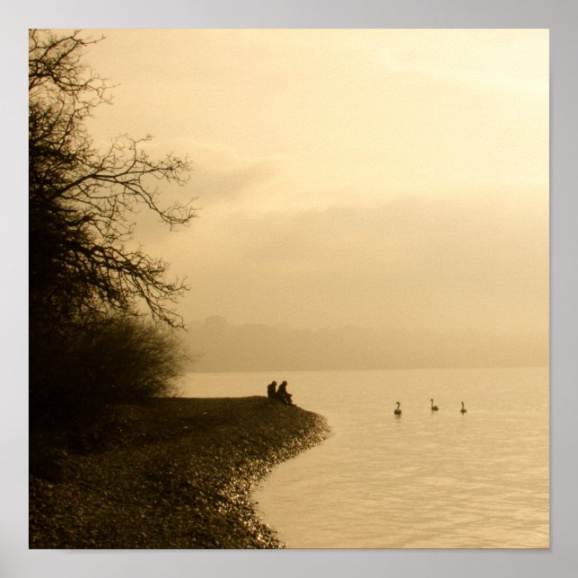 Schwäne am See Poster (Vorne)