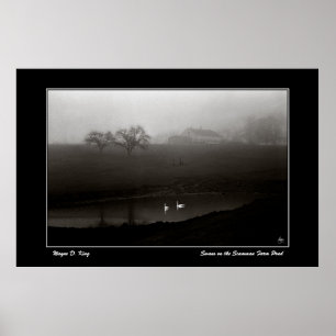 Schwäne auf dem Pfoster des Scamman Farm Pond Poster
