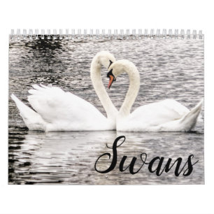 Schwäne der Frühjahrsgrove Kalender