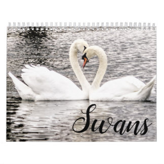 Schwäne der Frühjahrsgrove Kalender
