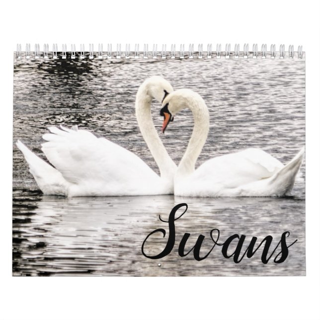Schwäne der Frühjahrsgrove Kalender (Titelbild)