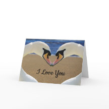 Schwäne, die eine Herzkarte "I Liebe You" bilden