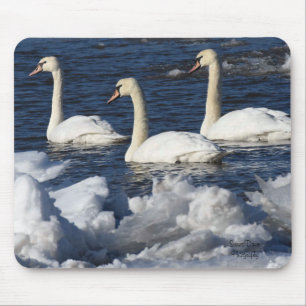 Schwäne im Icey-Fluss Mousepad
