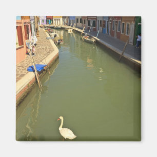 Schwäne im Kanal, Burano-Insel, Venedig, Italien Magnet