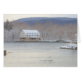 Schwäne im Teich mit Mühle und Hügeln