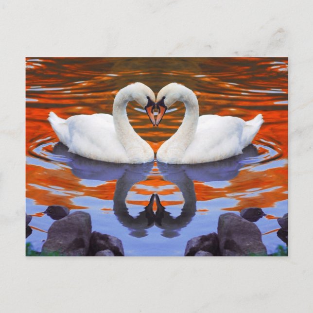 Schwäne in der Liebe küssen, Herzformen Necks Postkarte (Vorderseite)