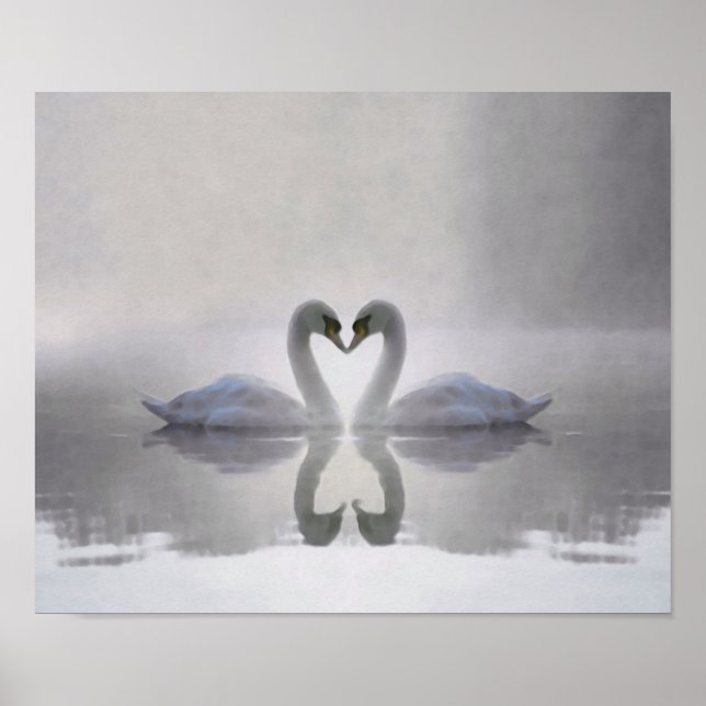 Schwäne in der Liebe ~ Poster (Vorne)