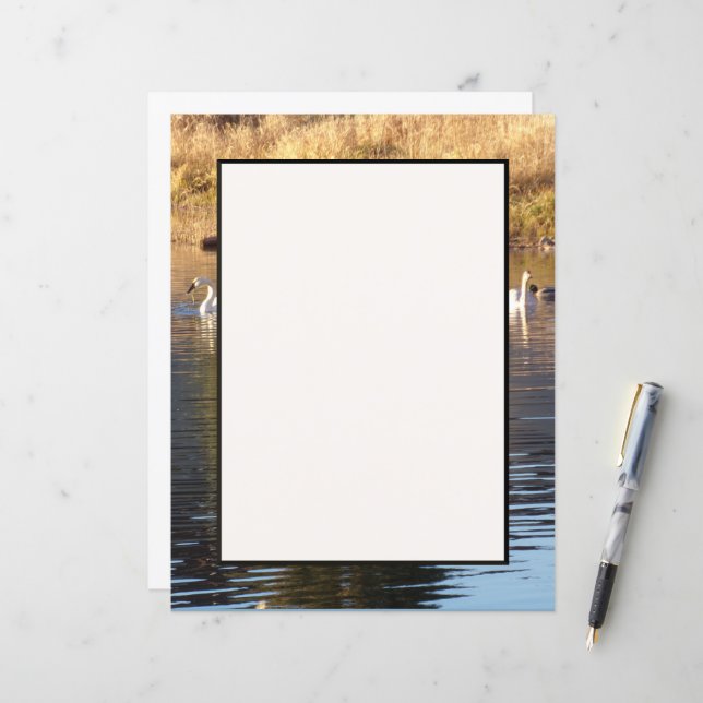 Schwäne in Enten-Stationierblech (Vorderseite/Rückseite Beispiel)