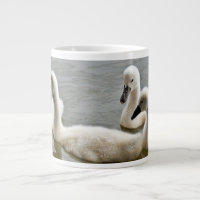 Schwäne in Wasser Tasse