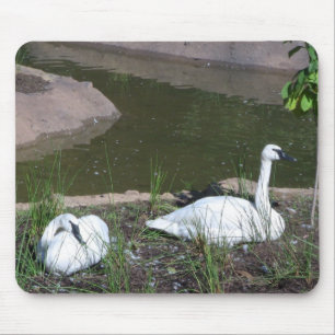 Schwäne Mousepad