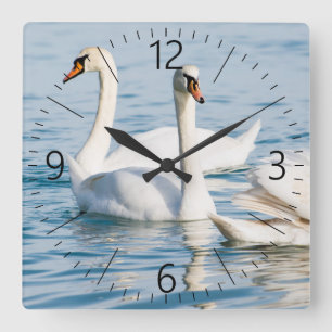 Schwäne Quadratische Wanduhr