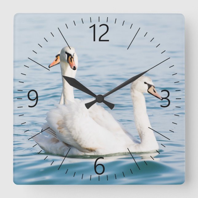 Schwäne Quadratische Wanduhr (Vorderseite)
