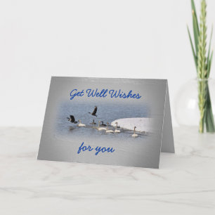 Schwäne u. Gänse embbk- fertigen jede mögliche Karte