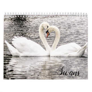 Schwäne von Spring Grove  Kalender