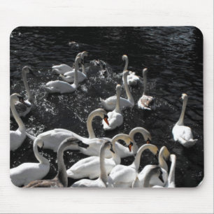 Schwäne weg mousepad