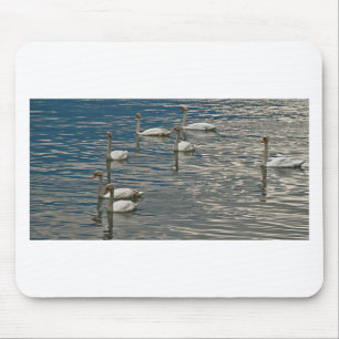 Schwanengesang Mousepad
