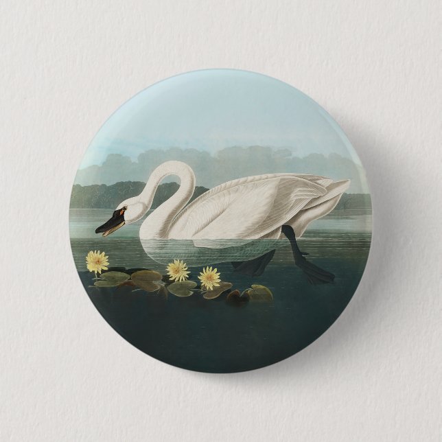 Schwanenschwäne Button (Vorderseite)