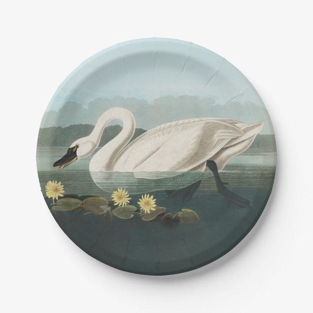 Schwanenschwäne Pappteller (Vorderseite)