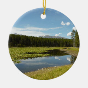 Schwanensee I im Grand Teton National Park Keramik Ornament