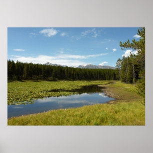 Schwanensee I im Grand Teton National Park Poster