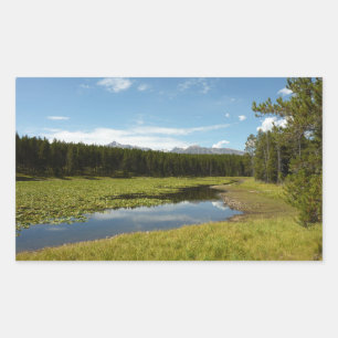 Schwanensee I im Grand Teton National Park Rechteckiger Aufkleber