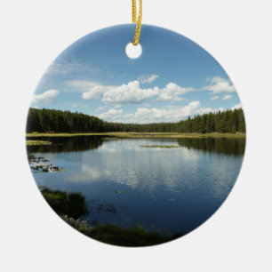 Schwanensee II im Grand Teton National Park Keramik Ornament