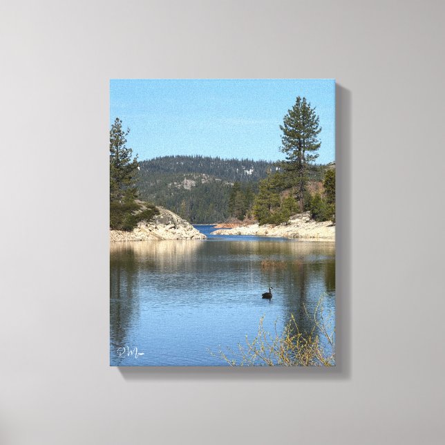 Schwanensee-Wandkunst Leinwanddruck (Vorderseite)