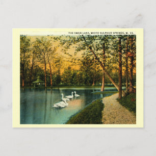 Schwanensee, Weiße Schwefelquellen, Vintage WV Postkarte