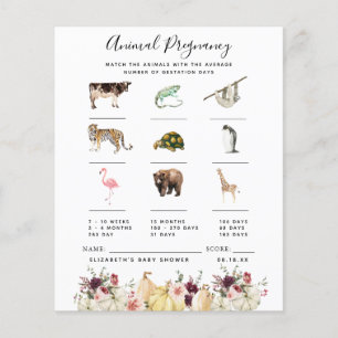 Schwangerschaft   Baby Showspiel