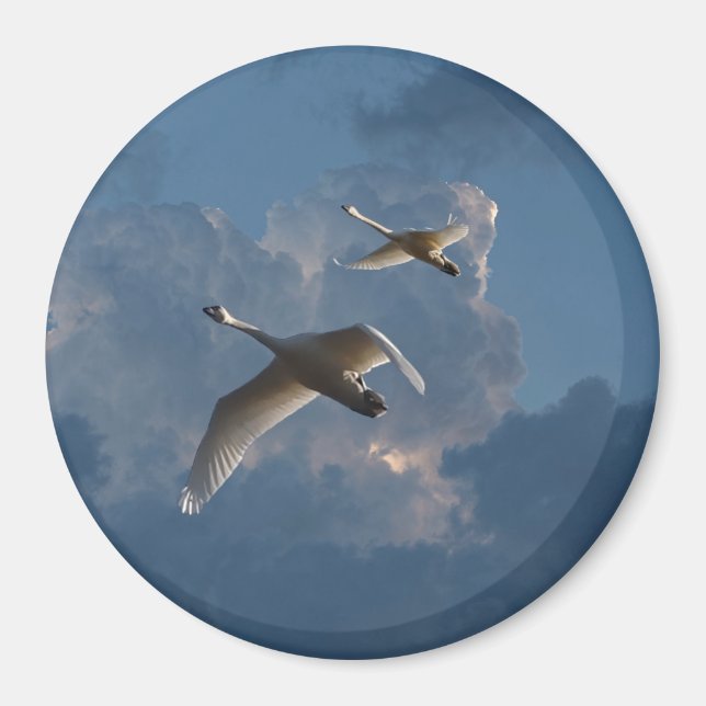 SCHWANKEN IM FLUG MAGNET (Vorne)