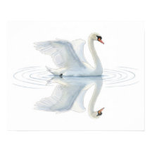 Schwanreflexion