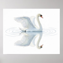 Schwanreflexion Poster