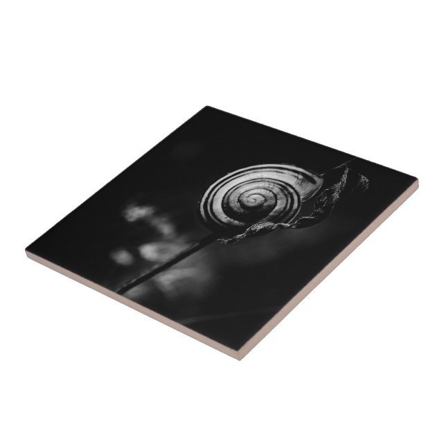 Schwanz Fliese (Seite)