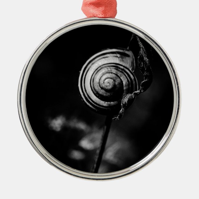 Schwanz Silbernes Ornament (Vorne)