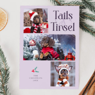 Schwanz & Tinsel Dog Foto Lila Weihnachten