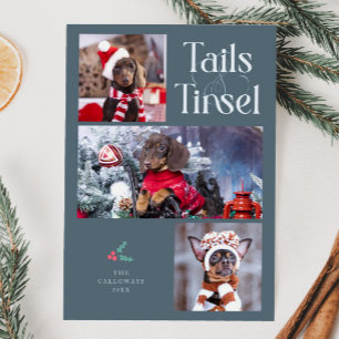 Schwanz & Tinsel Dog Foto Slate Blue Weihnachten