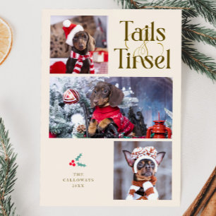 Schwanz & Tinsel Dog Foto Weihnachten
