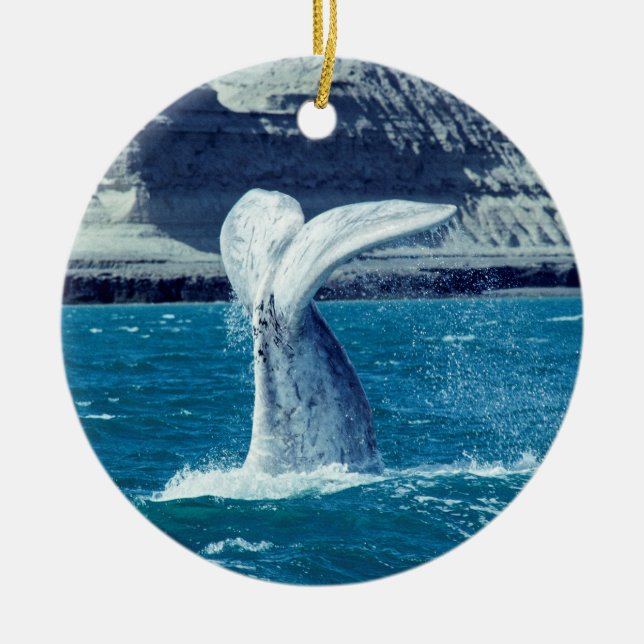 Schwanz von Whale - Argentinien Keramik Ornament (Vorne)
