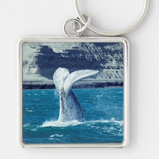 Schwanz von Whale - Argentinien Schlüsselanhänger (Vorne)