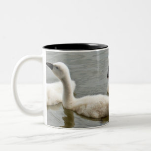 Schwanz Zweifarbige Tasse