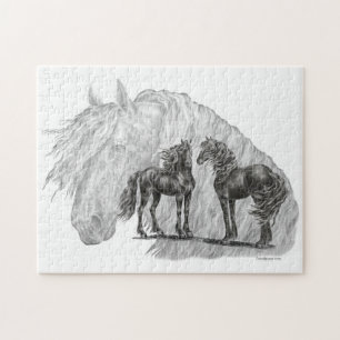 Schwänze von Black Friesian Horses Manes