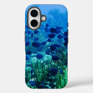 Schwarm blauer Diskusfische Unterwasserfoto iPhone 16 Hülle