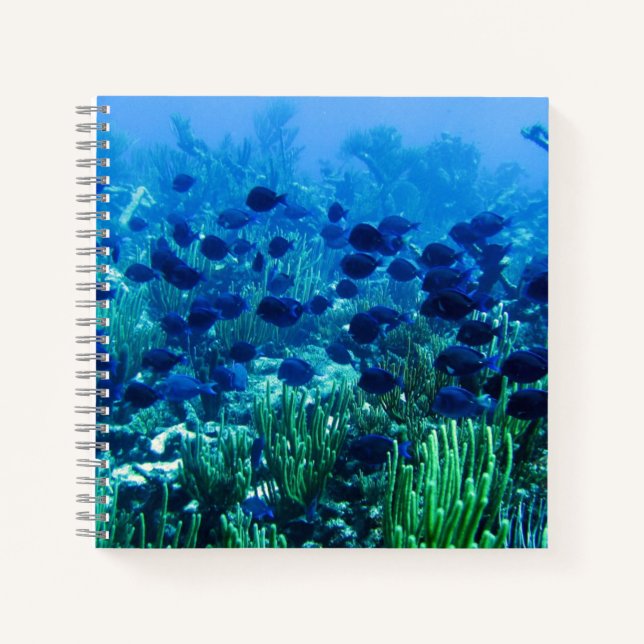 Schwarm blauer Diskusfische Unterwasserfoto Notizbuch (Vorderseite)