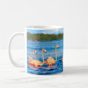 Schwärme von schönen rosa Flamingos im Celestun Kaffeetasse