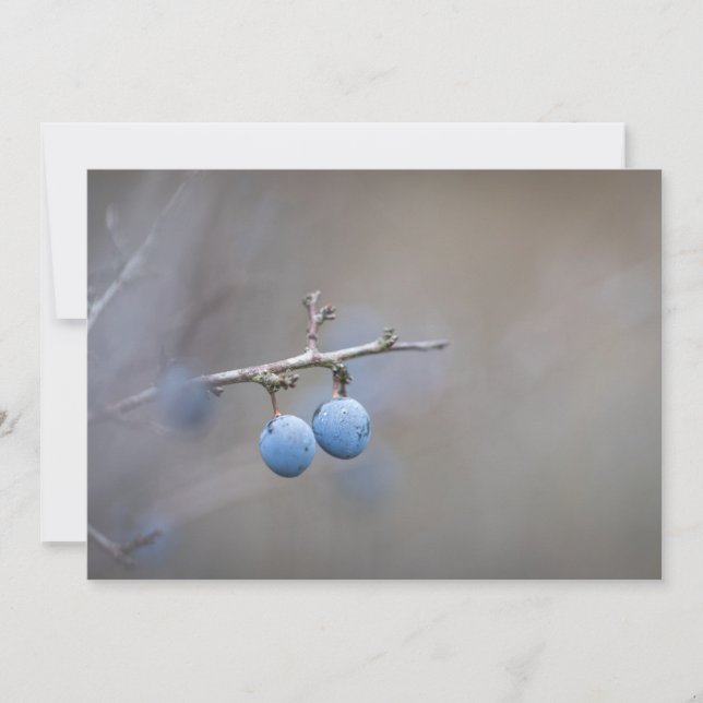 Schwarthorn-Natur-Fotokarte (Vorderseite)