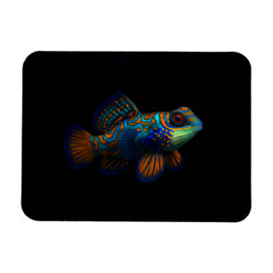 Schwarz 4 Luxe Flexibler Magnet Dragonet Mandarin