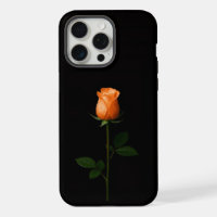 Schwarz 4 Luxe iPhone 15 Pro Max, Sonnenuntergang 