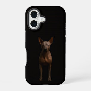 Schwarz 4 Luxe iPhone 16 Mate, Argentinischer Pila Hülle